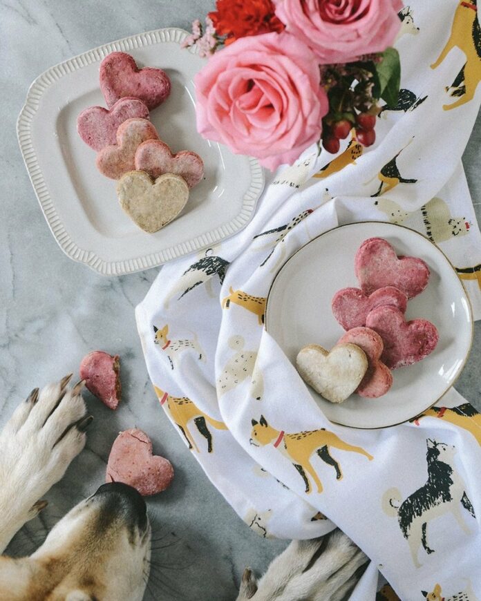 A dog sits pointed towards homemade dog treats shaped like hearts and colored pink, red, and white.