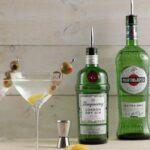 Stanley Tucci’s dry Gin Martini as made for Ina Garten