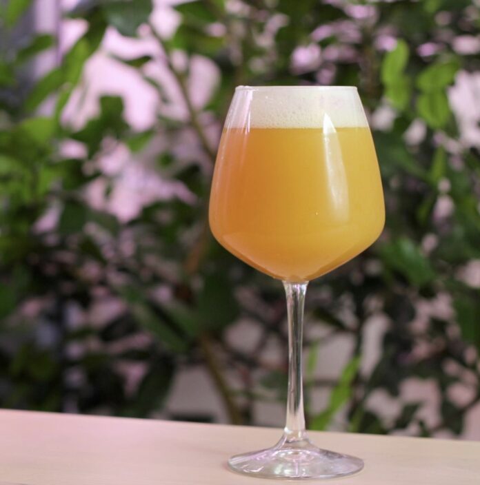 a shapely glass of cloudy yellow beer with a nice white foam head on a pinkish table with a greenery background, Pittsburgh Beer