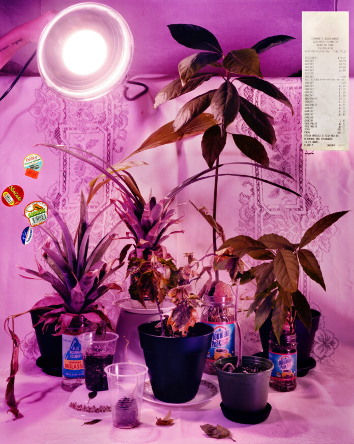 Samantha Box TransplantFamilyPortrait 2020_8x10