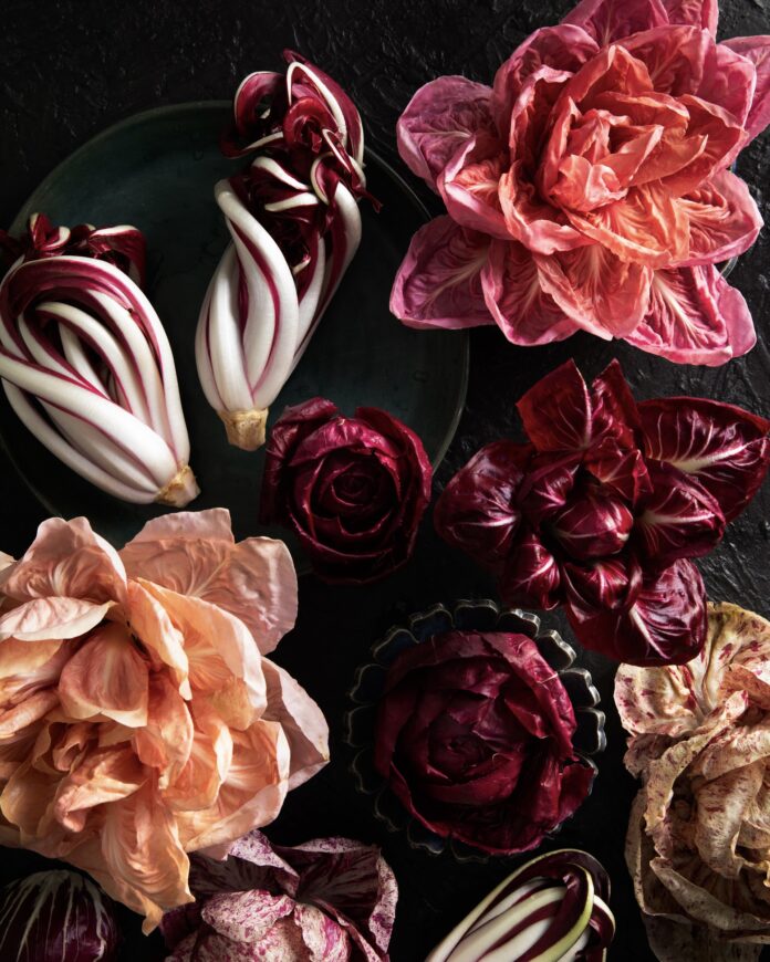 a mix of purple and pink specialty lettuces on a black background