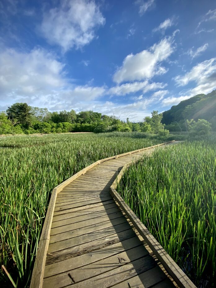 a wooden pathway through grass, with a bright blue sky. outdoor destinations