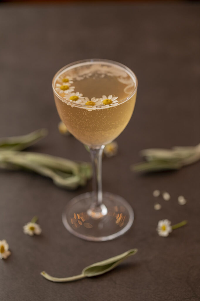 single cocktail glass with flowers sitting inside the glass and around the base.