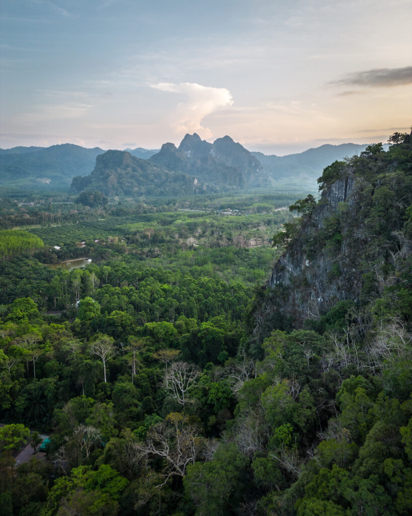 A forest view of Thailand from above the trees