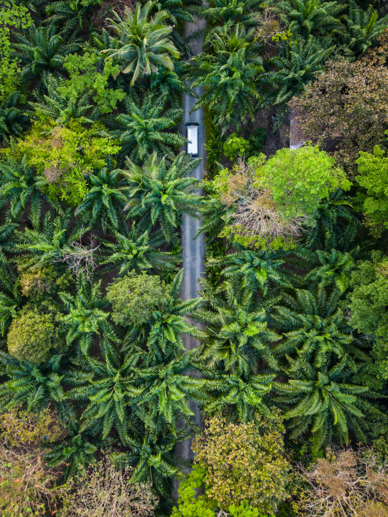 an overhead shot of a car driving through a forested part of Thailand.
