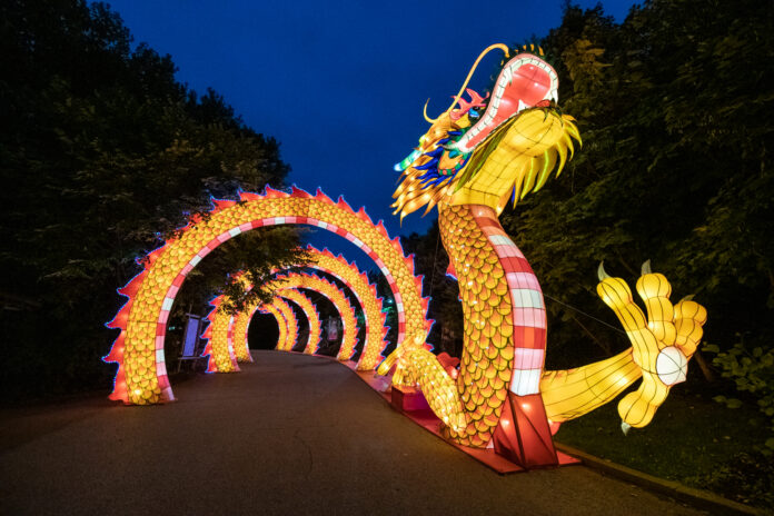 A blow up dragon lights up a walkway, visitors can walk through this installation.