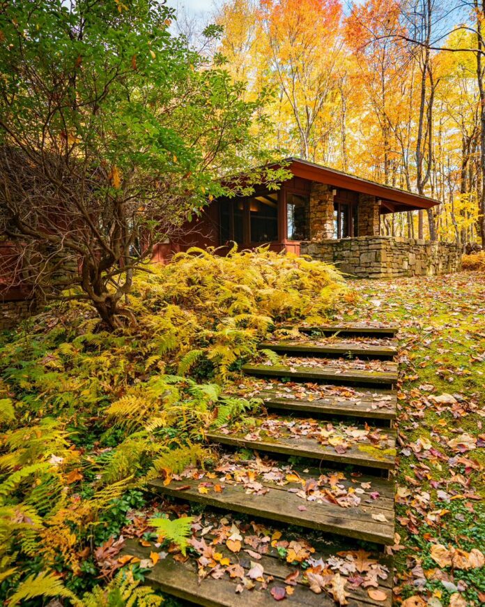 The Balter house at Polymath Park, a Pittsburgh area long weekend recommendation. A fall leaf cover steps leading up to a house surrounded by trees.