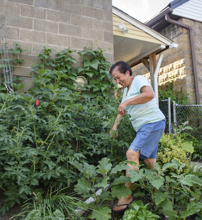 A woman tends to her garden