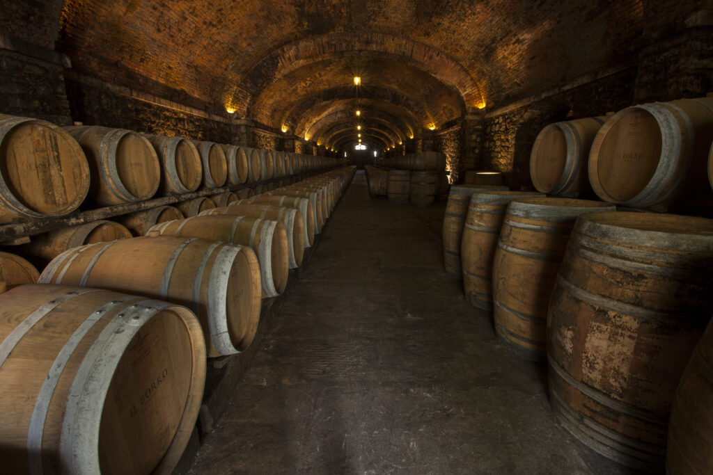 wooden barrels for wine making 