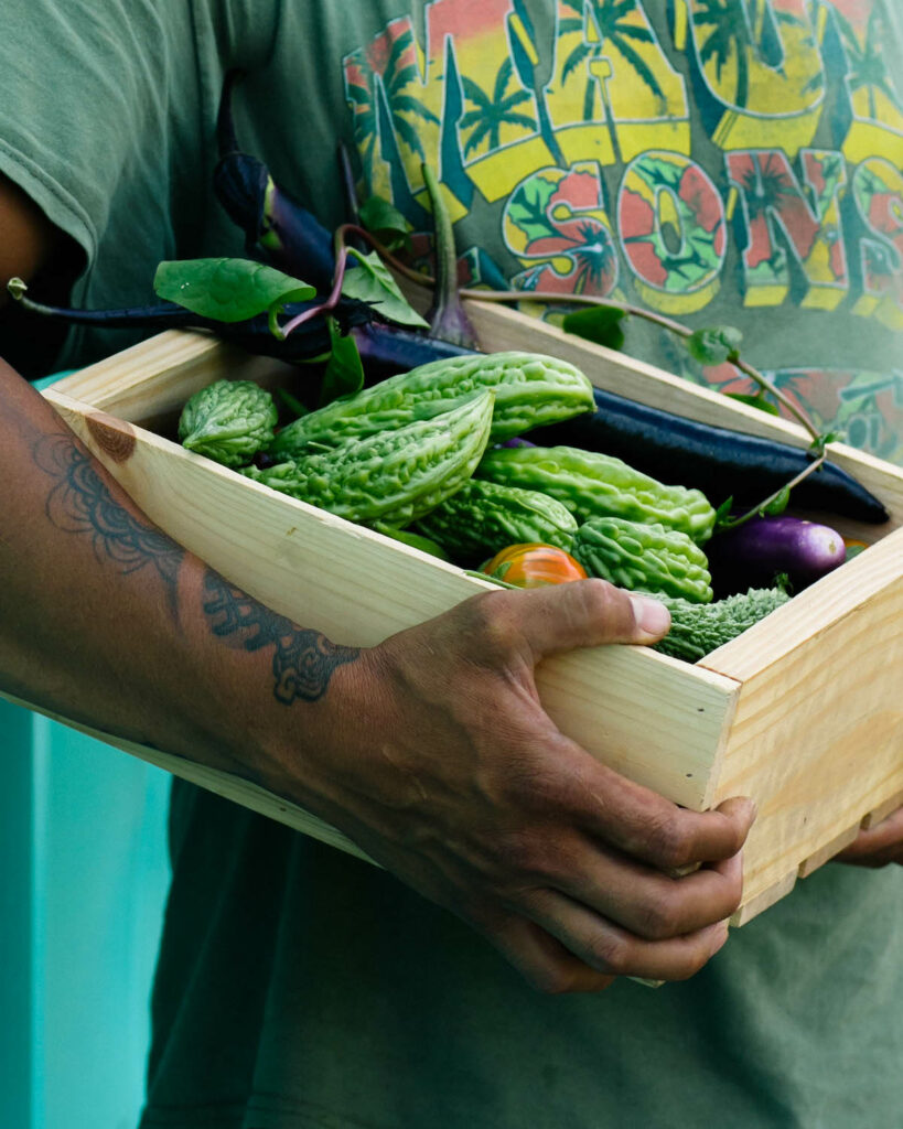 A box of fresh ampalayas, known as bitter melons in English. A bit of eggplant and a tomato are nestled in there as well. from Amboy Urban Farm