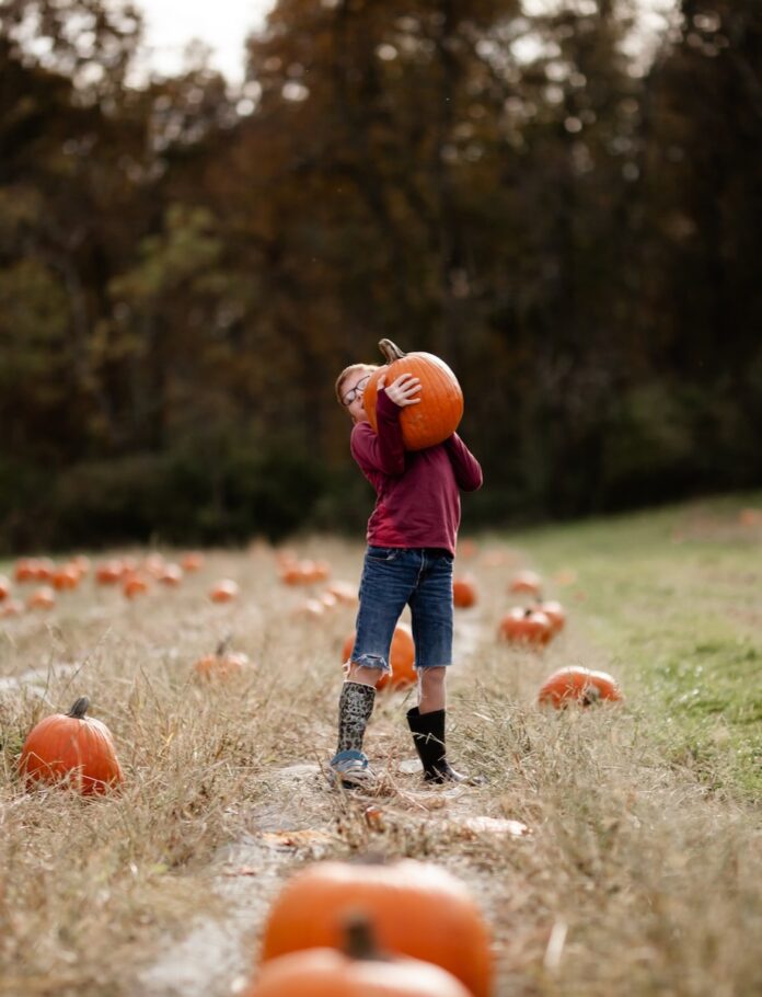 A kid holds a pumpkin on their shoulder in the middle of a fall Pittsburgh pumpkin patch.