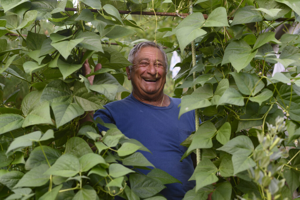An older white male smiles surrounded by leaves