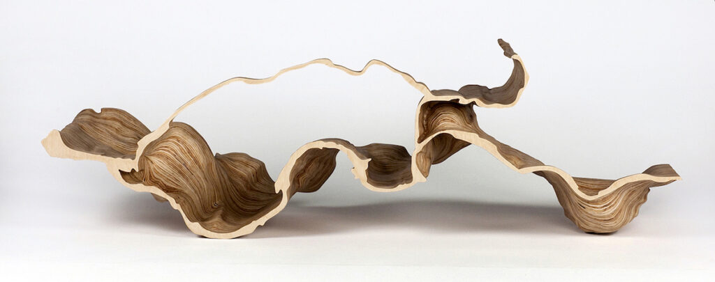 a piece of wooden artwork in an avant-garde shape