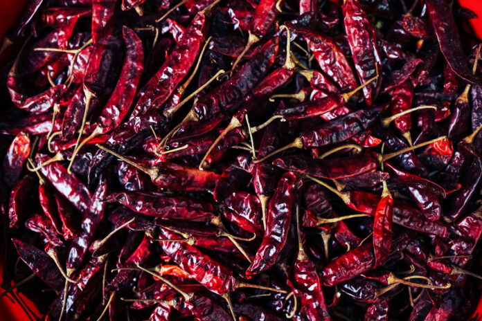 The Decisive Moment: An Art Form and Cultural Record