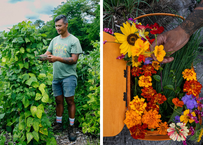 a man standing in a garden and fresh flower in a basket