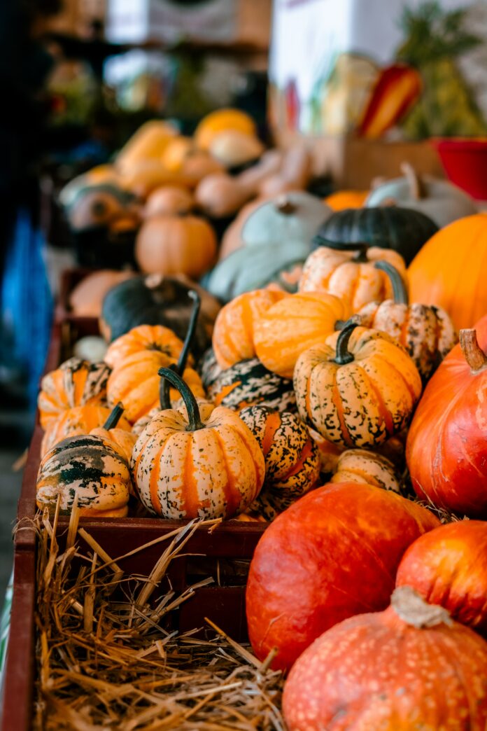 Pumpkins of various shapes and sizes sit on hay barrels. October Fall Markets in Pittsburgh