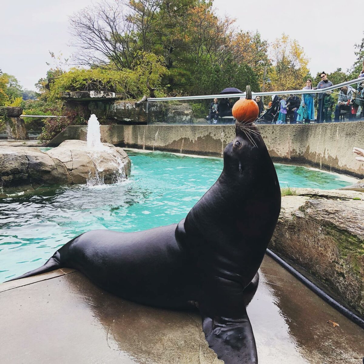 8 FamilyFriendly Halloween Events in Pittsburgh Table Magazine