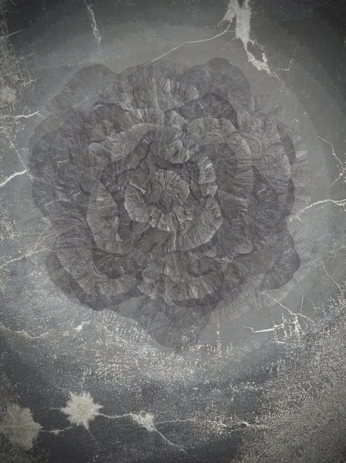 Your 2023 New Moon in Libra Horoscope: A New Moon Solar Eclipse