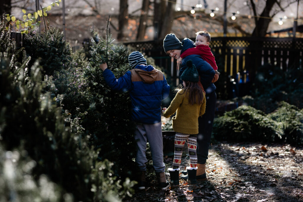 Four siblings pick out a Christmas tree in the middle of a tree farm.