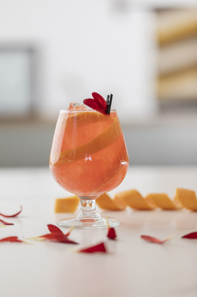 In a cocktail glass sits a redish beverage with lemon slices inside. 