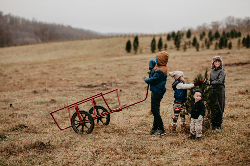 A group of kids pulls a red wagon to find a tree on a hillside.