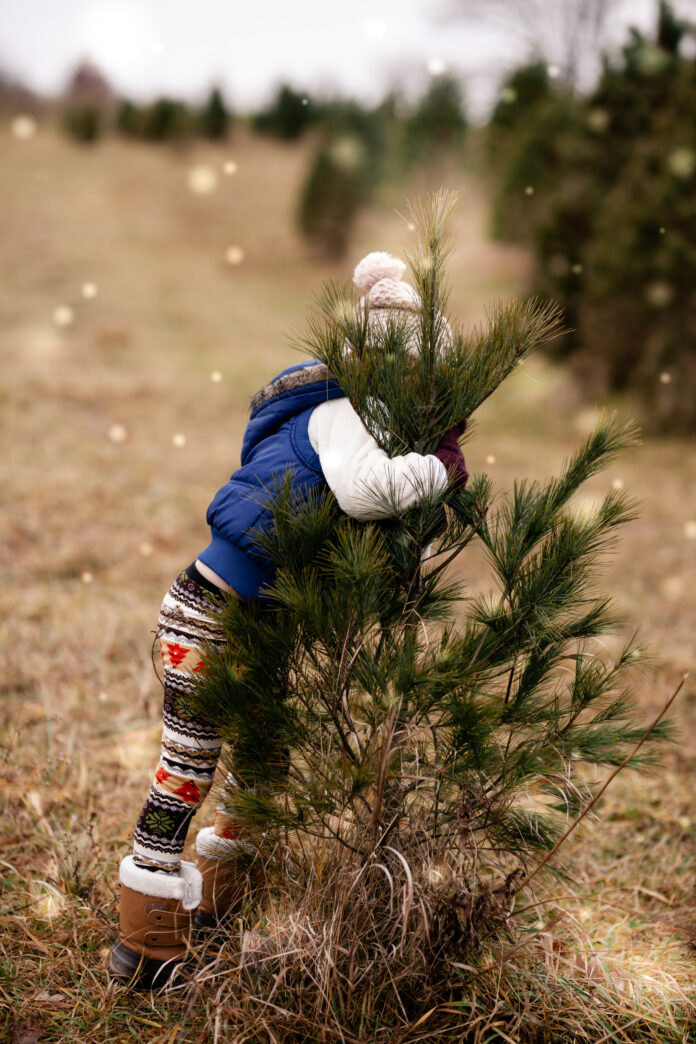 A child hugs a Christmas tree on a hillside along other trees.