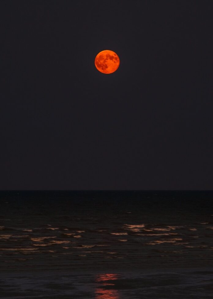 A red full moon sits above the water to represent a November horoscope.