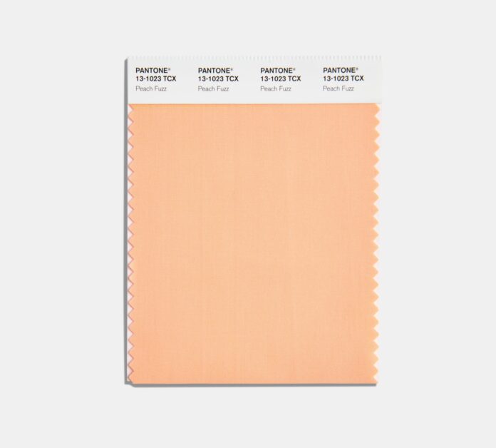 A photo of the Pantone color of the year swatch in the shade Peach Fuzz.