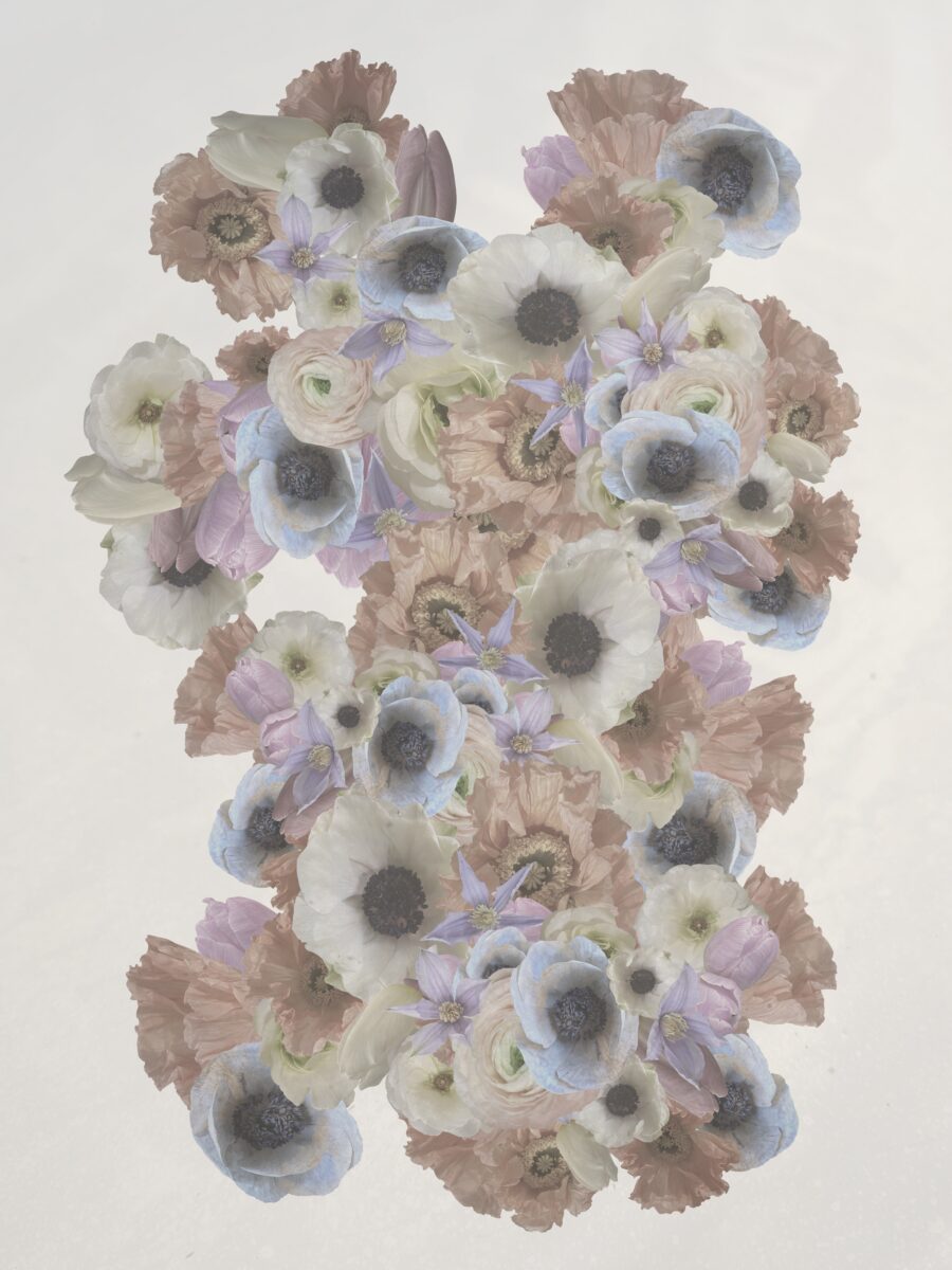 Your Astrological New Year Horoscope for 2024 An illustrated photo of various pastel spring blooms to represent the Astrological New year horoscope for 2024.