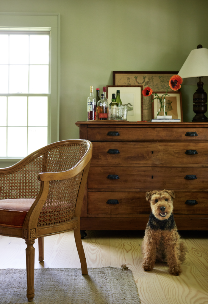 A living room interior shows a wick chair, a dark brown dresser with photos on top, and a small brown and black terrier dog in front of the dresser.
