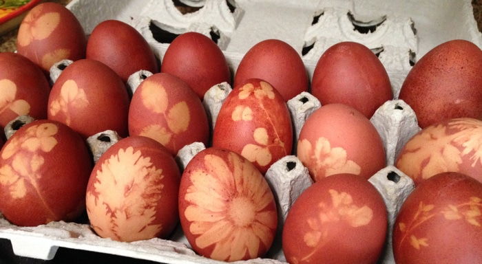 Dyed Easter eggs sit in an egg container with flower and leaf shapes designed on their shell.