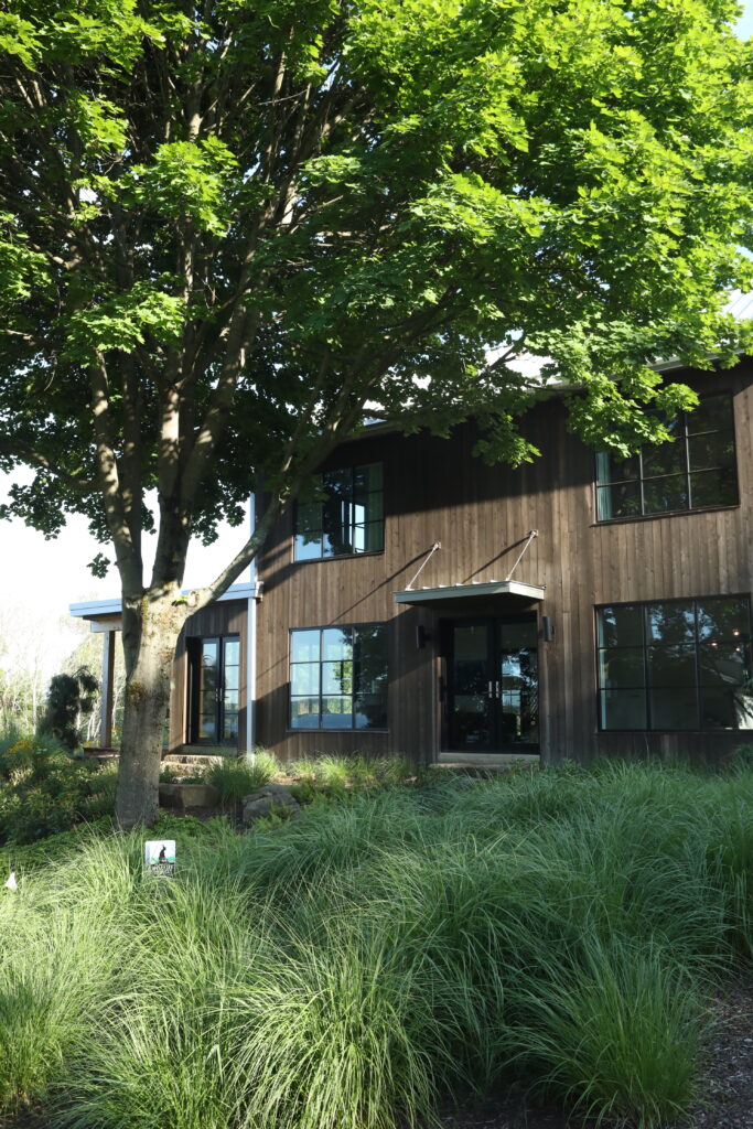 The back outside of a wooden Chautauqua lake house surrounded by high grass and trees,