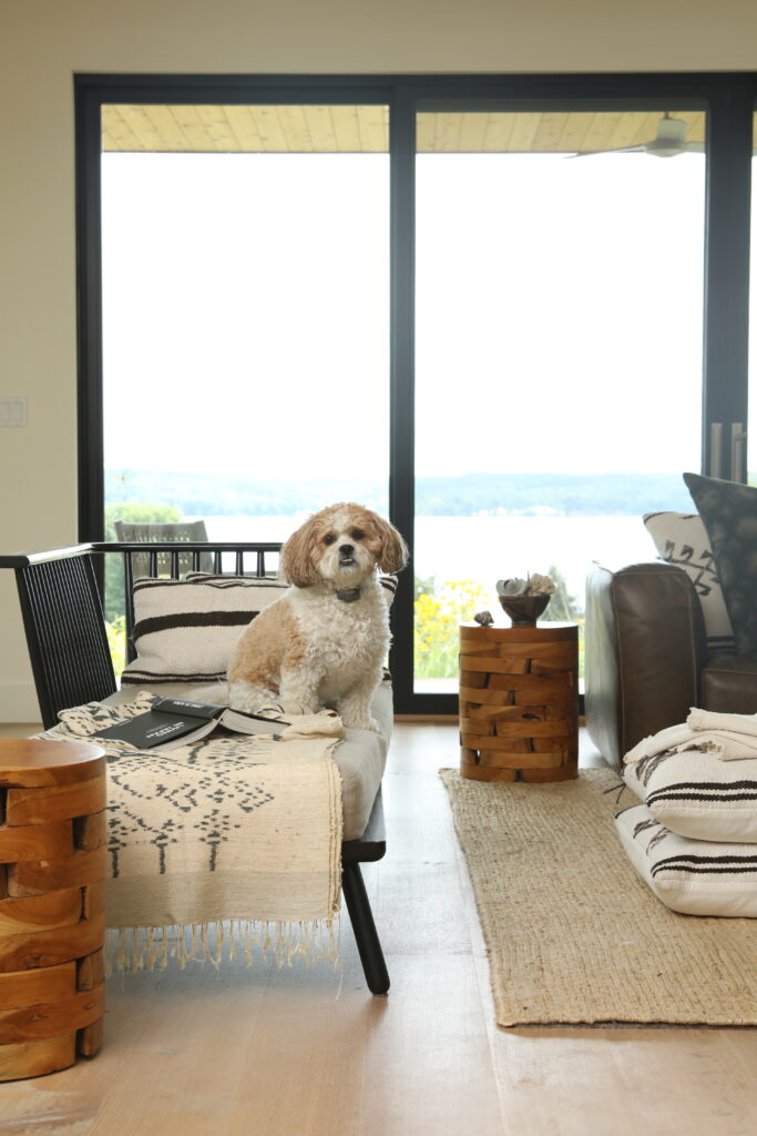A white and brown dog sits on a small daybed in the living room of a Chautauqua Lake House with the lake in the background outside the sliding glass doors.