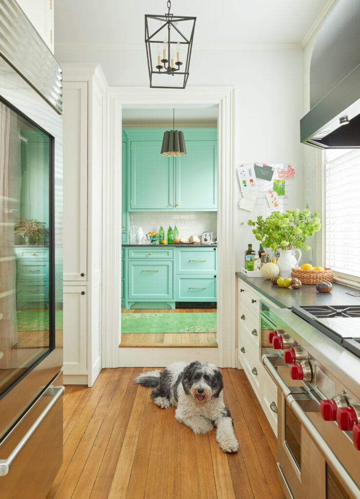 A long shot of a kitchen interior with mint cabinets in the background as a dog lays down the center of the aisle. 