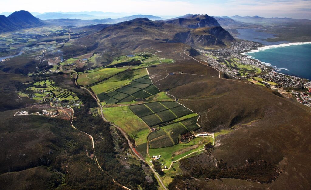 The landscape of Hamilton Russell wine vineyards in South Africa.