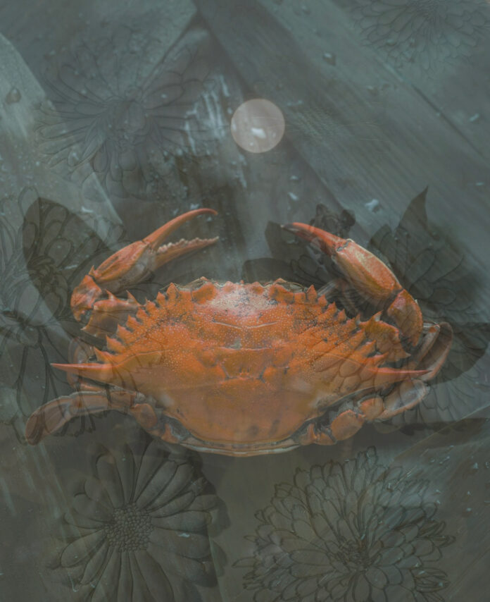 A crab on a green background for the July Full Moon in Capricorn horoscope.