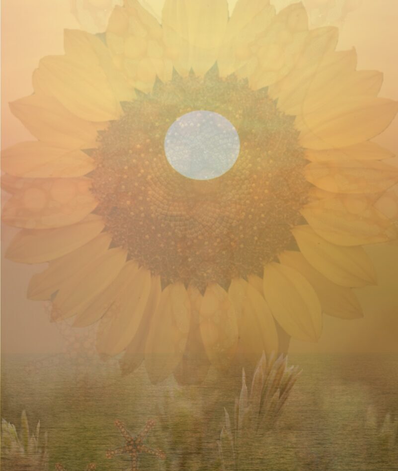 Your August Full Moon in Aquarius Horoscope for 2024 - Table Magazine