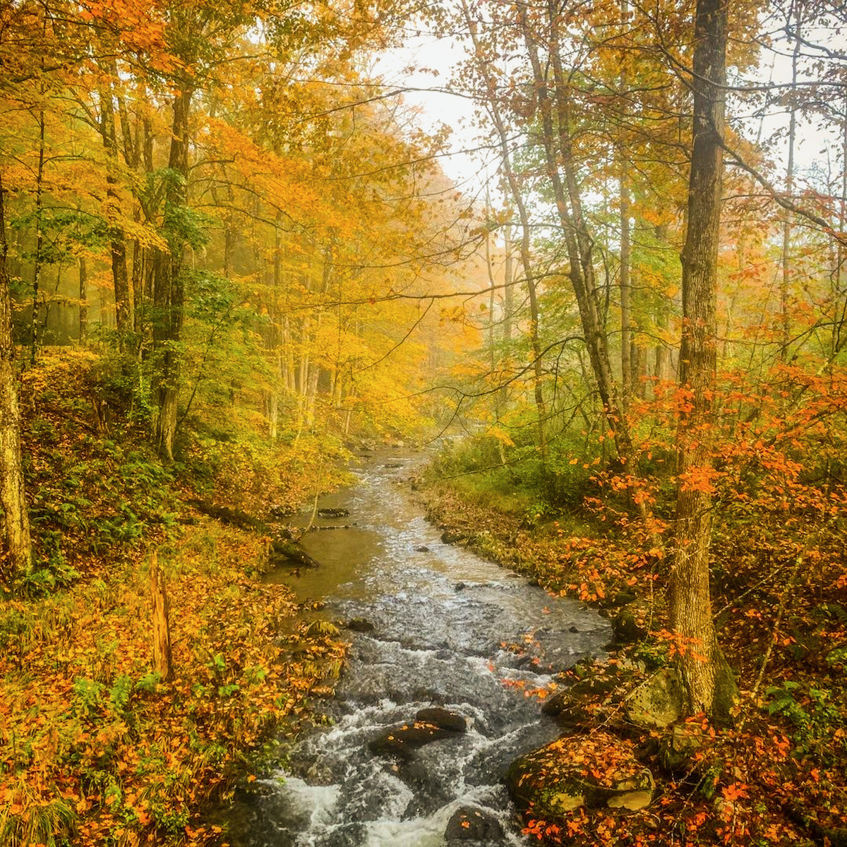 Things to Do in The Hudson Valley During a Fall Vacation
