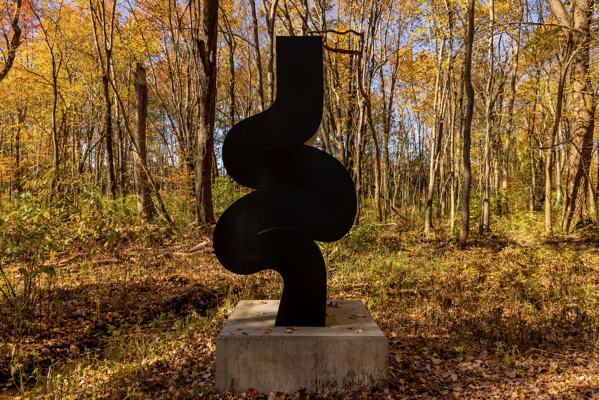 A black sculpture against fall foliage