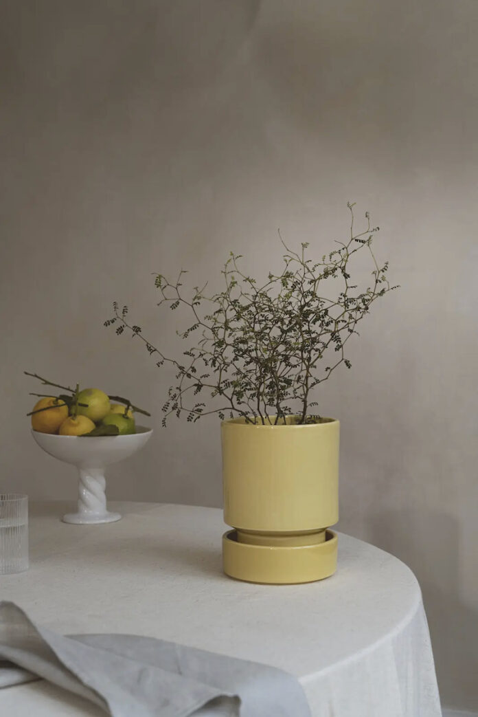 A flower pot on a sable background
