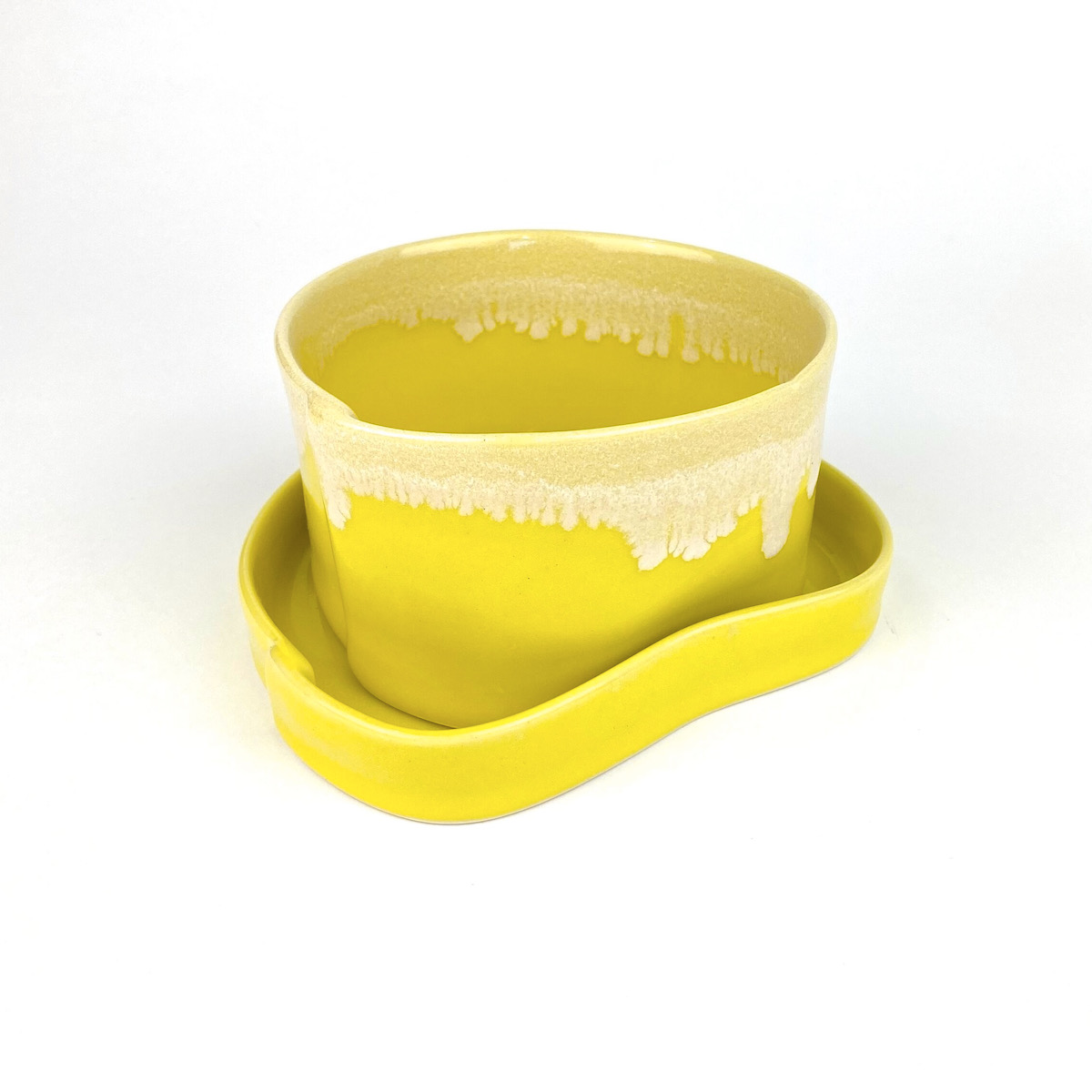 A planter with a tray from Wilcoxson 