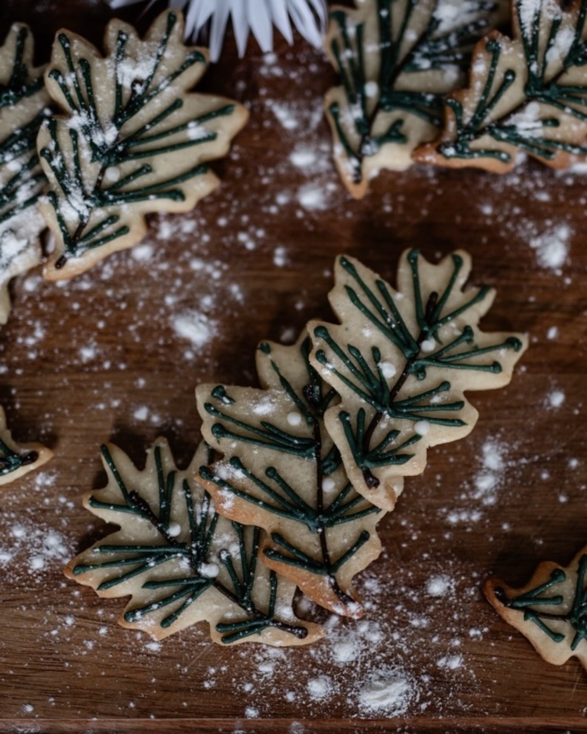 A close-up of rosemary decorated sugar cookies with green icing and powdered sugar.