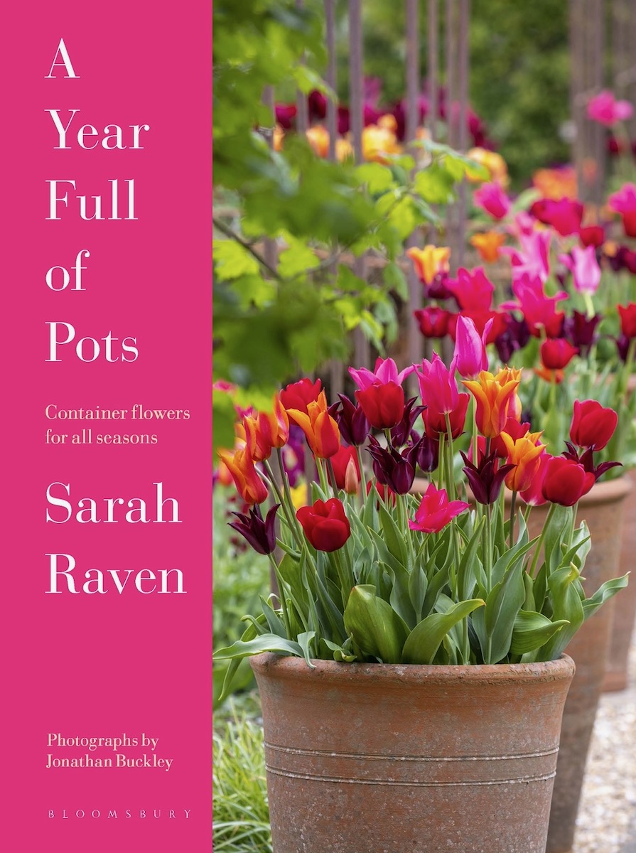 A pot of pink and red flowers set beside a vertical hot pink block bearing the name of Year Full of Pots 
