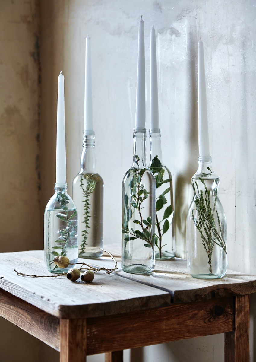 White candles with plants inside of their glass bases 