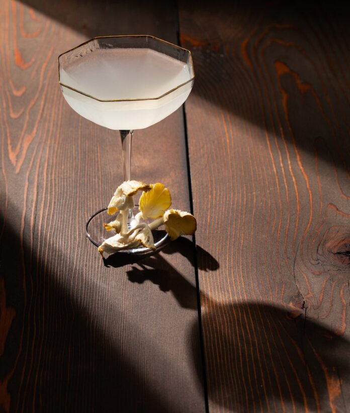 A tall cocktail glass sits in a stream of light with a murky liquid inside it and mushrooms to represent The Last of Us below it.