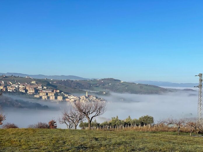 Rolling hills in Molise with vineyards covered in fog.