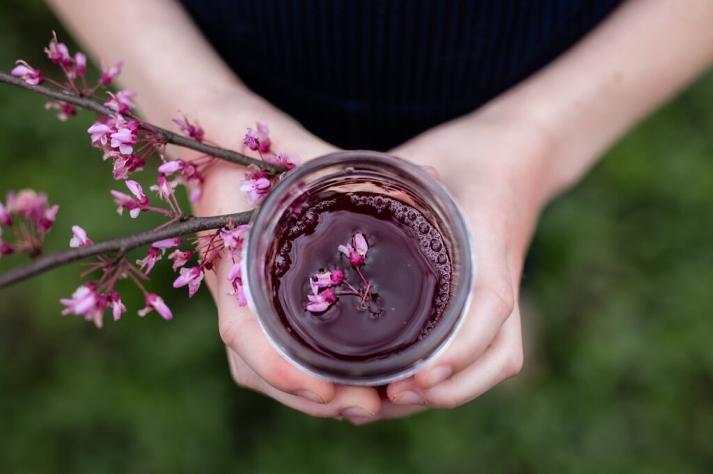 A person holds a mason jar with redbuds soaking in water inside.