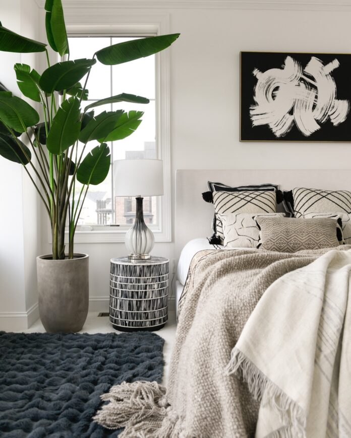 A bed with beige blankets sits beside a dark grey run and a large plant.