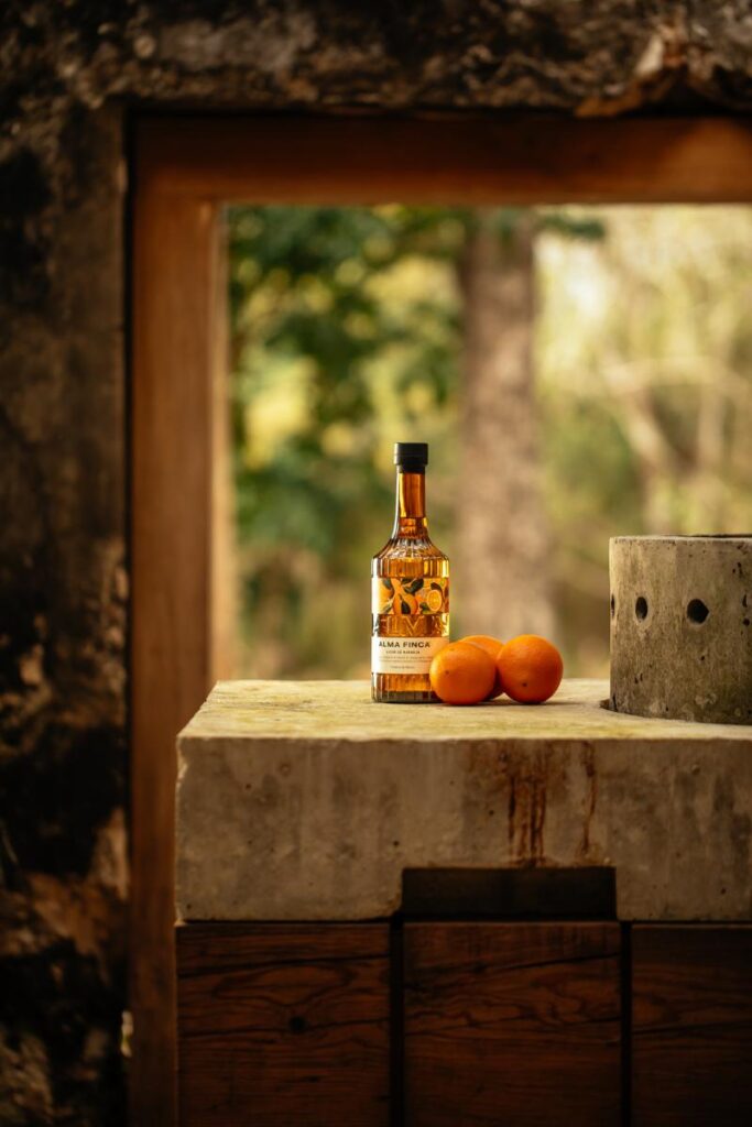 A brown glass bottle labeled "ALMA FINCA" stands next to oranges on a concrete surface.