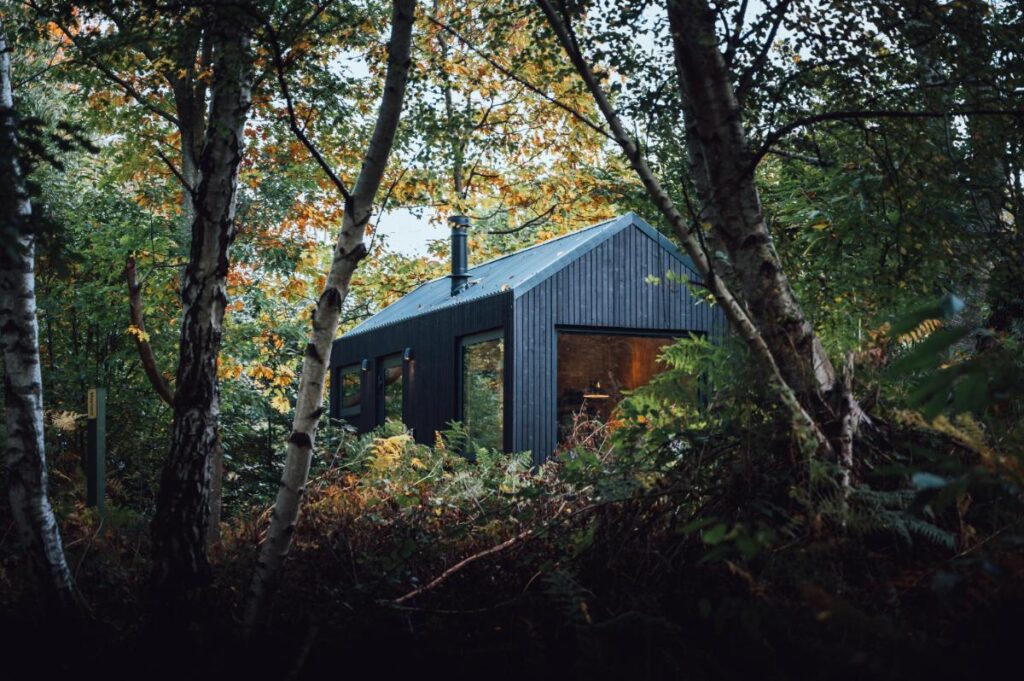 A black cabin with large windows is nestled among green and yellow trees in a forest.
